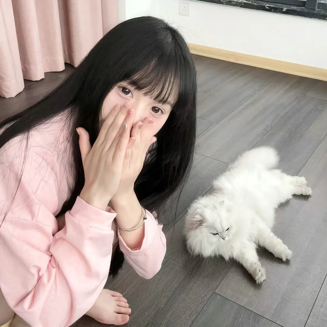 琴韵补情天